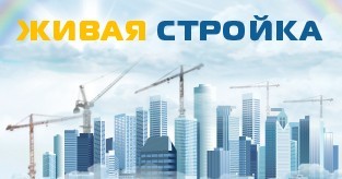 livestroy's profile picture. 