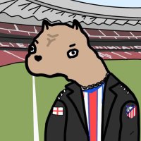 Capitan Chirla ❤️🤍❤️💙 (@capitanchirla) 's Twitter Profile
