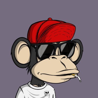 Owner of Evergreen Terrace Stables, Moe's Tavern Breeding, 🐔 Derby, #ZedRun #NFT #JungleBayApeClub