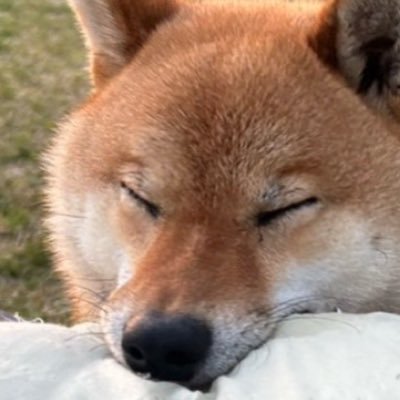 なぜかアカウントが消去されてて作り直しました。   またよろしくお願い致します。
