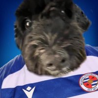 freddie (@fred_rfc) 's Twitter Profile