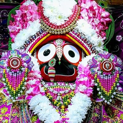 budhadevgomango's profile picture. straight forward