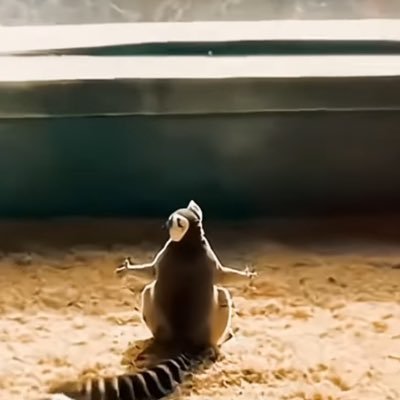 tres_petit's profile picture. 