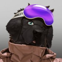 Rufus Doggo ✨ (@rufusdoggo) 's Twitter Profile