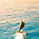 sam jamal - @SamCretinoo - Twitter