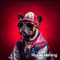 • dm for business • promo nft marketing advisor • alpha discord locked at members ❤️ harleyfam ❤️ eth sol aptos dyor