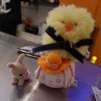 ぁぉぃ (@2_a_o_i_2) 's Twitter Profile