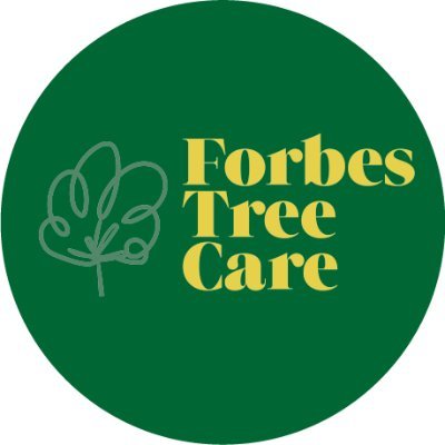 North London Tree Surgeons. Based in Crouch End. Professional tree services. Tree pruning, tree felling, tree reports, planning applications.