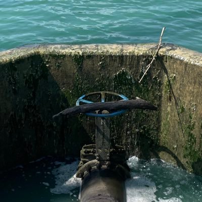 fLw4E2oDjQJxhre's profile picture. 