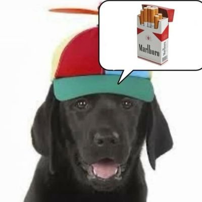 EdgarAllanDou's profile image