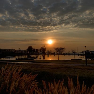 Mar_camg's profile picture. 