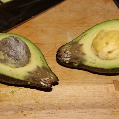 AvocadoZijnVies's profile picture. 