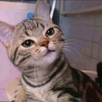 yh hlo (@dwandelions) 's Twitter Profile Photo yh hlo (@dwandelions) 's Twitter Profile Photo