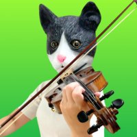 あっぴ🎻バイオリンの先生 (@violin2525enjoy) 's Twitter Profile