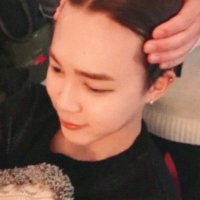 𝐝𝐳𝐞𝐥?!🌿 (@dipyourquill) 's Twitter Profile