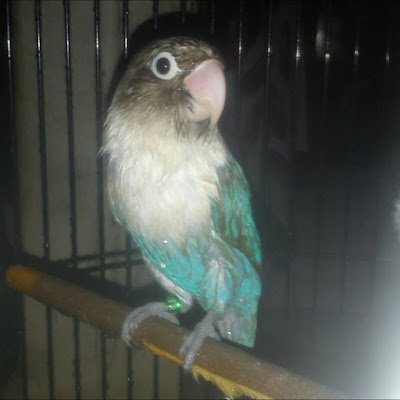 YugaSenpai46452's profile picture. 