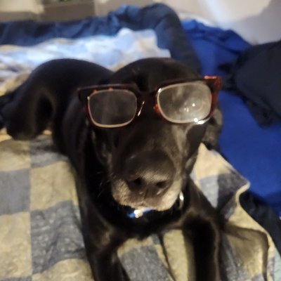 EcCruz9's profile picture. MAGA TILL I DIE! I love America and all AMERICANS! WWGOWGA To all my military brothers and sisters, Thank You. You are appreciated and loved. USAF74