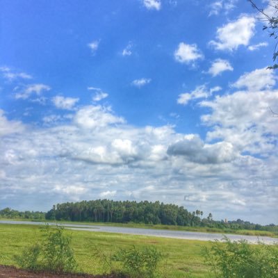 RoomNumber8's profile picture. 