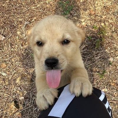 THASUPA2707's profile picture. To change your life you have​to change yourself.