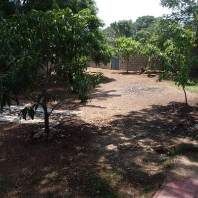 JZebadua030263's profile picture. Mestro en Derecho