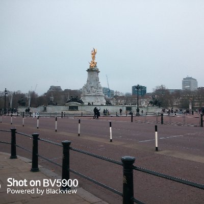 Westfie84677955's profile picture. 