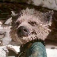 ZHUBAJIE (@zhubajie_sun) 's Twitter Profile