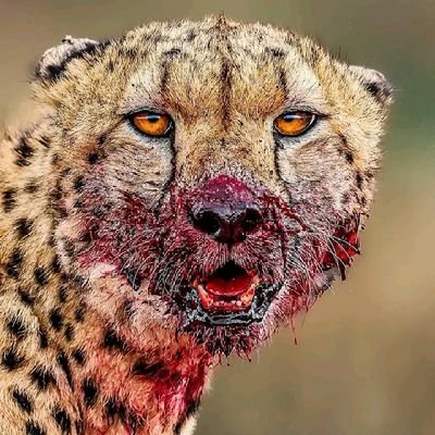 Fredrickmuthai1's profile picture. For quality academic work.

Email: expertacademic83@gmail.com

WeChat ID: Itschen01

Snapchat: Contentmaster01

WhatsApp: +254748260025