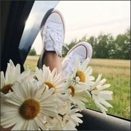 DesdoreP30Ubq's profile picture. 