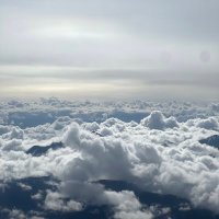 Ankit Kumar (@thesailingdev) 's Twitter Profile