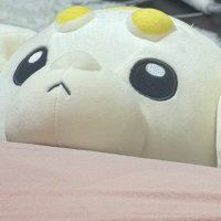 毎日もっちたち (@mainitimochi) 's Twitter Profile