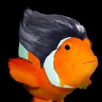 Kazuya Fishima (@kazuyafishima) 's Twitter Profile Photo