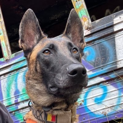 rivera_mesen's profile picture. 