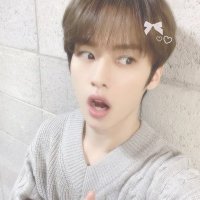roze 🎀┊#1 piece of a puzzle enthusiast (@hyunvbz) 's Twitter Profile