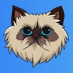 johnsmi67626953's profile picture. Base chain trader