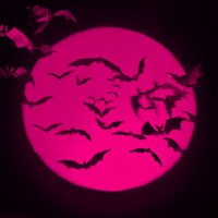 kat (@stickykat) 's Twitter Profile