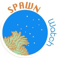 Spawn Watch (@spawn_watch) 's Twitter Profile Photo Spawn Watch (@spawn_watch) 's Twitter Profile Photo