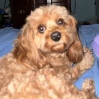 Princess Aubrey 76 (@76aubrey82925) 's Twitter Profile