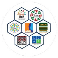 Local Councils Associations | Pakistan (@lcasofpk) 's Twitter Profile