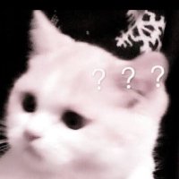 🐈⬛ (@mstk_nya) 's Twitter Profile