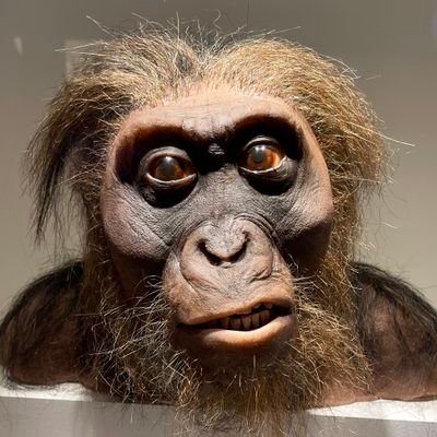 skykey138's profile picture. 智者自省于真理，庸者沉溺于谎言。