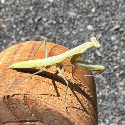 bitneck_eth's profile picture. Care is the only useful revolution.