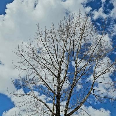 maheshwari37615's profile picture. 