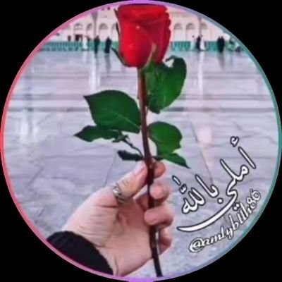 💞
اجعل بربك كل عزِّك يستقر ويثبت فإذا اعتززت بمن يموت فأن عِزك ميت.
معلمة رياضيات🔍📊📏📐
