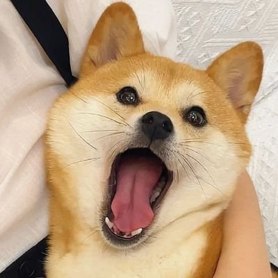 HsR8yVTGJP25854's profile picture. 