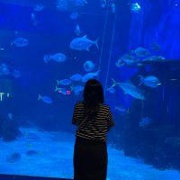 🌹 (@ilfautmieux) 's Twitter Profile