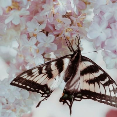 MonalKulkarni's profile picture. tch tch tch...