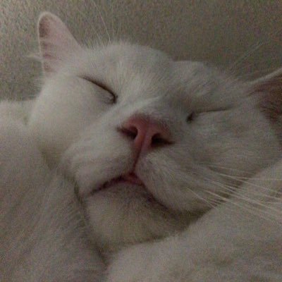 _pp_94's profile picture. 