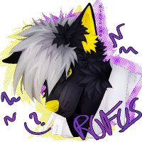 Rufus || your BFF (Belgian furry fox) (@thefoxrufus) 's Twitter Profile
