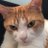 exceltechnician's profile image