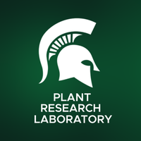 MSU-DOE Plant Research Laboratory (@msudoeplantlab) 's Twitter Profile Photo MSU-DOE Plant Research Laboratory (@msudoeplantlab) 's Twitter Profile Photo